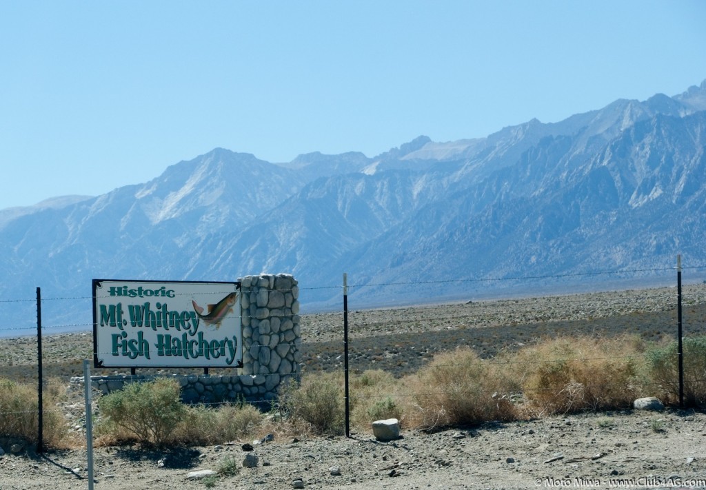 2013_9_23_Tour_of_Sierra_California-100-185