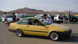 ANT 2.jpg (52141 bytes)