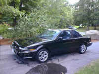 Dalis Alexander AE92b.jpg (72076 bytes)