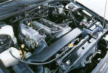 Euripides engright.jpg (57489 bytes)