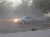 Tony Dela Cuesta Rally3.jpg (17069 bytes)